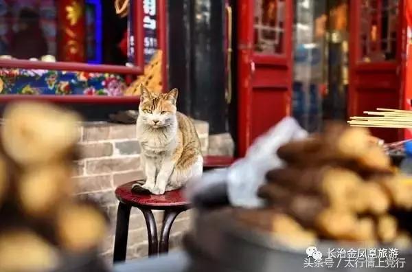 碛口古镇和西口古渡哪个好玩,碛口古镇黄河古渡口