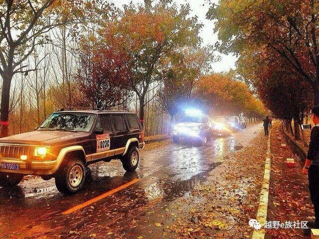 陪伴是最长情的告白——我和切诺基的故事