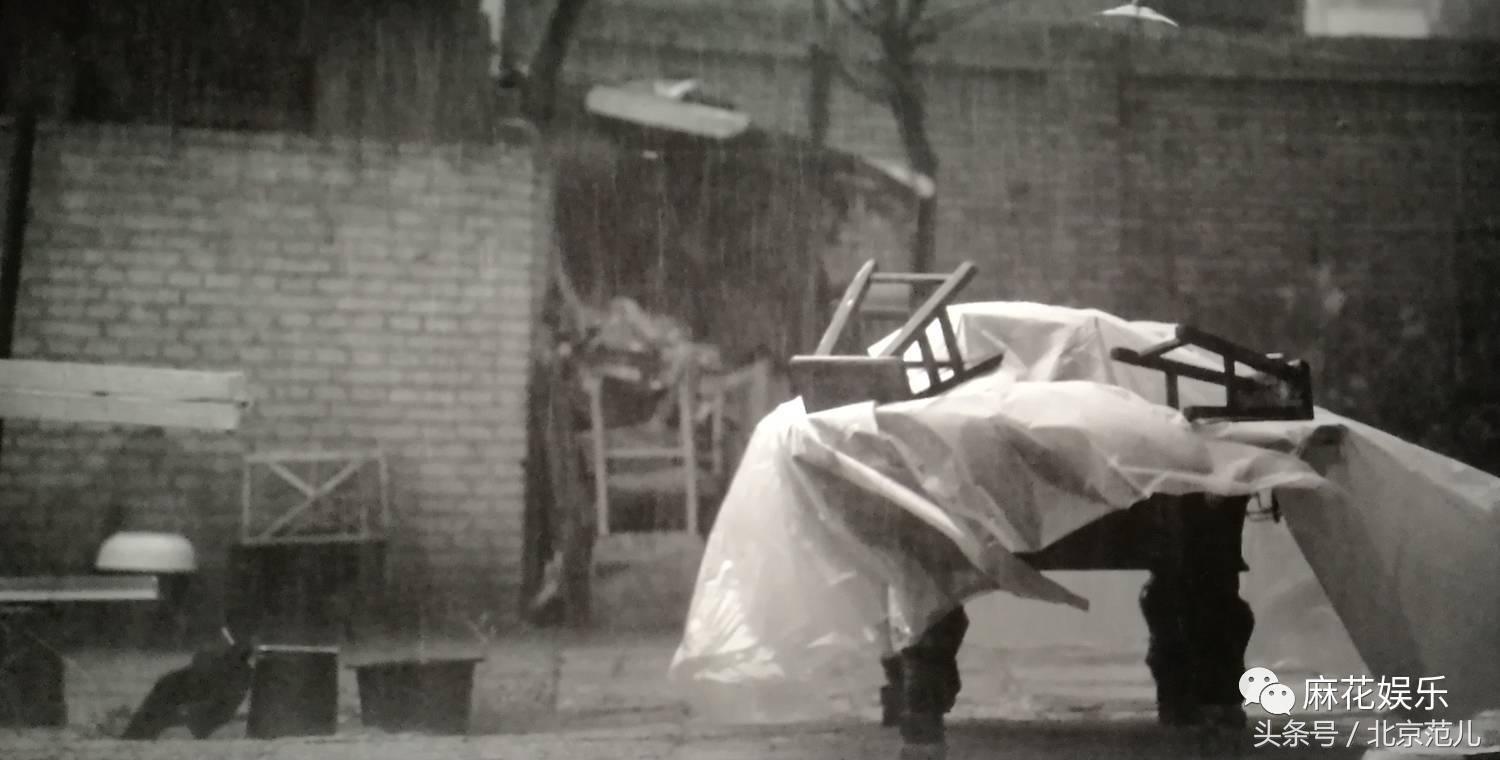 电影八月全部,电影八月完整版