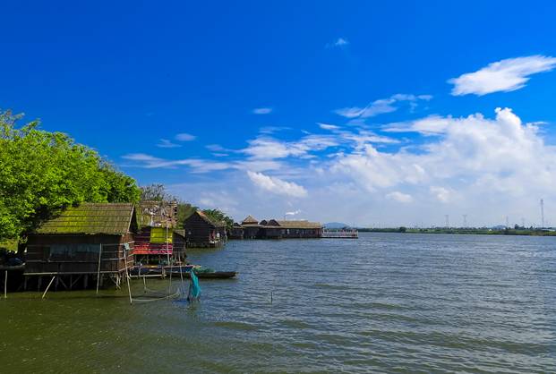 广州适合2月份去的湿地公园,假期旅游去哪里这里风景很迷人