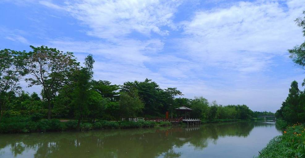 广州适合2月份去的湿地公园,假期旅游去哪里这里风景很迷人
