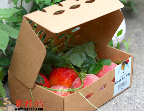 农村致富有哪些门路,农村致富门路有哪些