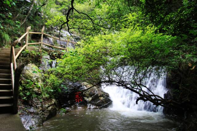 赣州4a级以上国有旅游景区,江西赣州的旅游景区有哪些