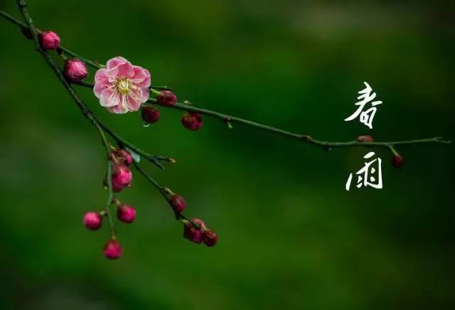 「便民提示」周末雨停气温升！下周停电信息早知道！