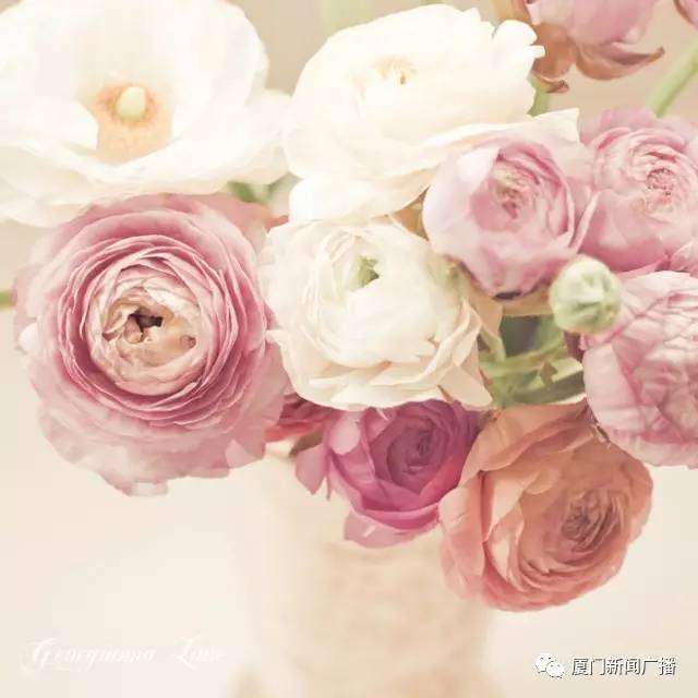 颜值+好春+丽诗，这该会是怎样动人动心的电波之旅！