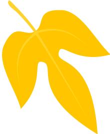 内蒙古改造计划,内蒙古今明两年大动作