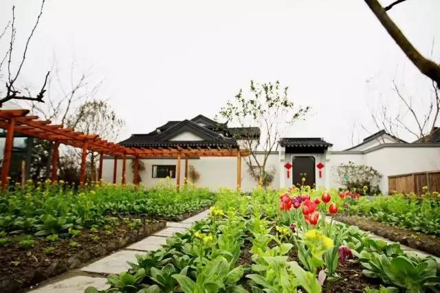 白云村多利农庄,郫都区红光街道白云村