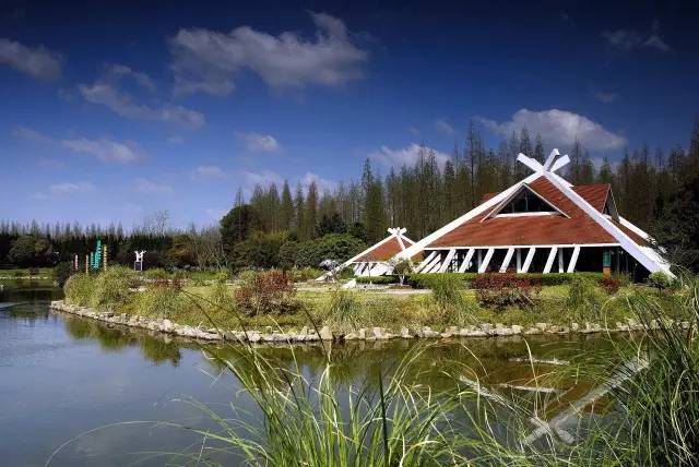 上海奉贤一日游最佳景点一览表,上海宝山区最值得去的五个景点