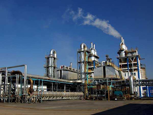 撸起袖子加油干谱写致富新篇章,撸起袖子加油干甩开膀子奔小康