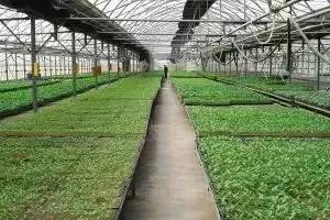 青岛农大近期新闻,青岛农大好吗