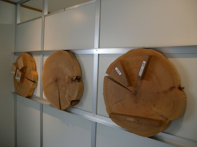 私北海道（完附名古屋小记）,4