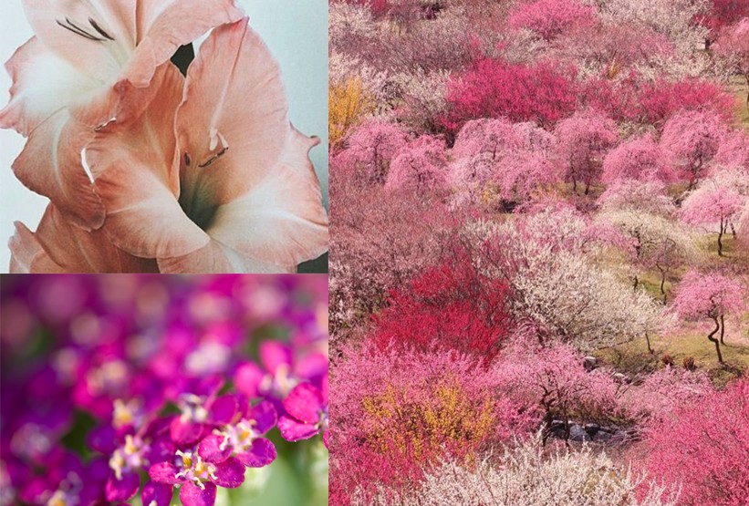 最是橙黄橘绿时原文,最是橙黄橘绿时全诗是什么意思