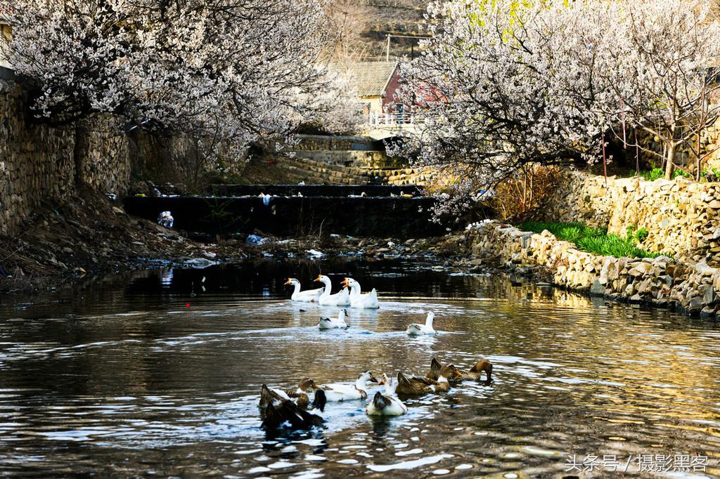 濞佹捣涔冲北妯辨,灞变笢涔冲北妯辨