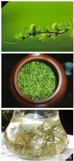 大别山深处的绝美山珍!