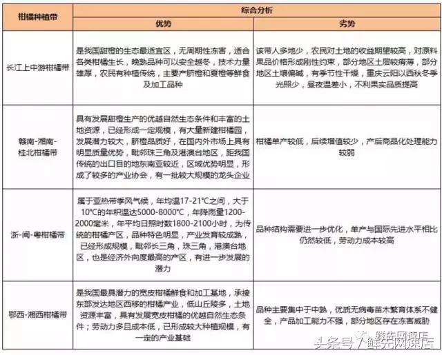 粑粑柑最近为什么这么便宜,粑粑柑怎么一年四季都有