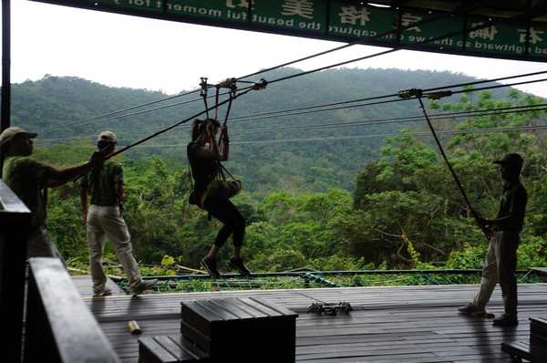 呀诺达热带雨林公园票价,呀诺达热带雨林景区官网