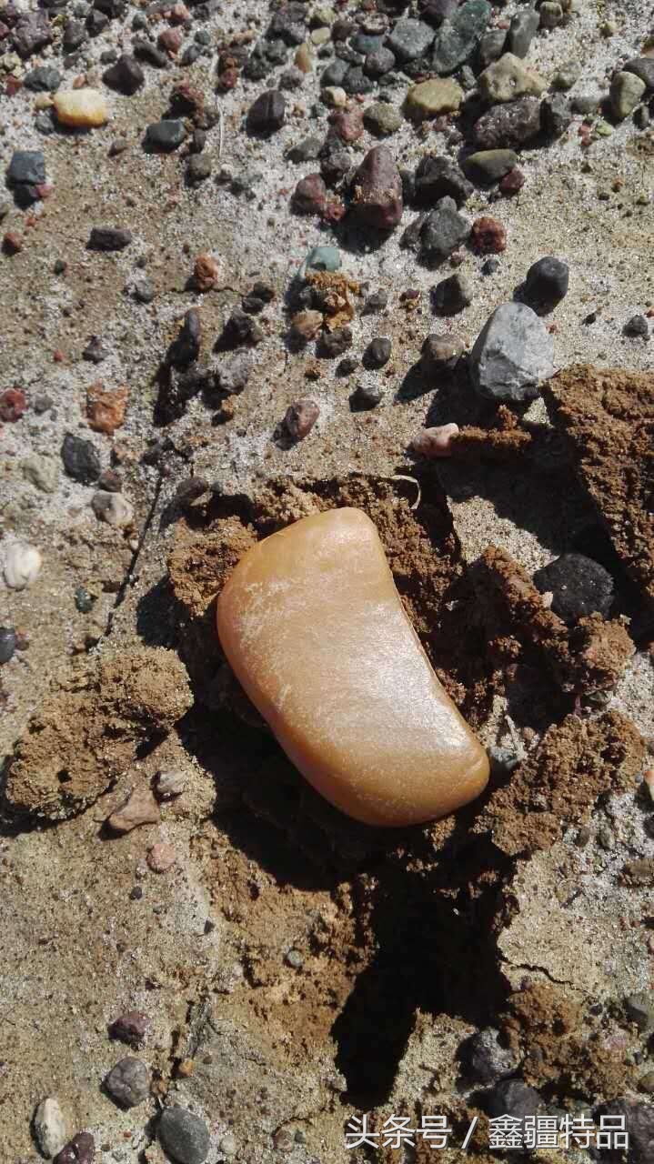 金丝玉宝石光在哪捡,捡金丝玉海蓝宝石的地方