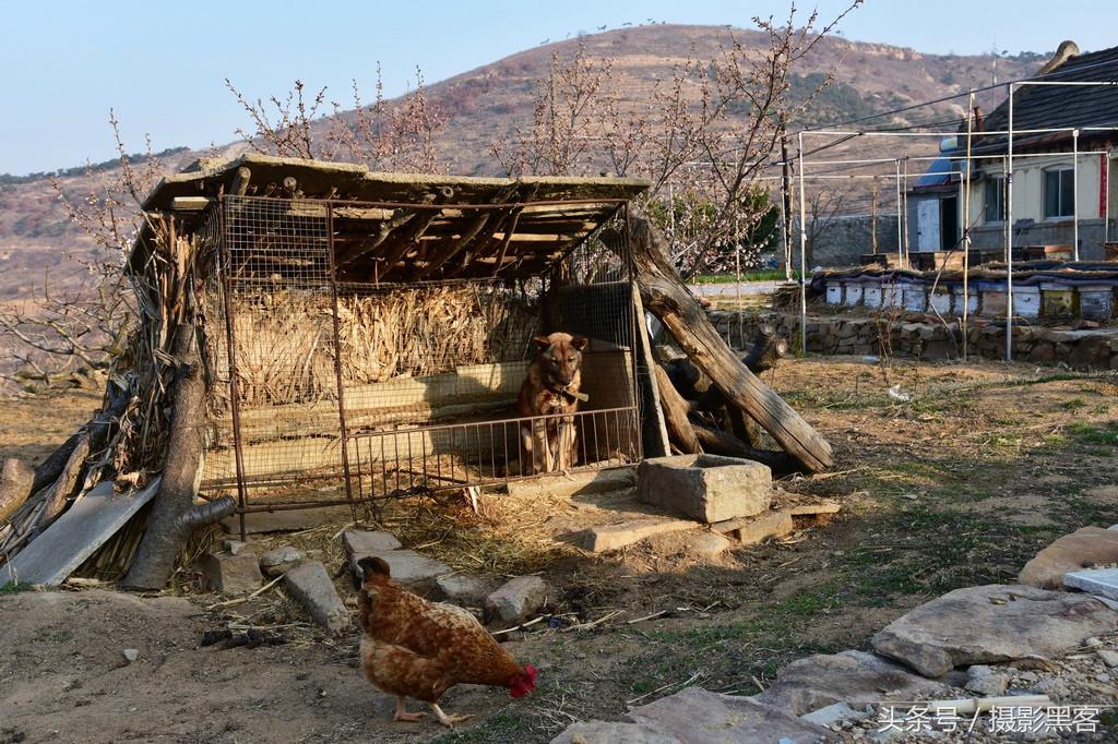 濞佹捣涔冲北妯辨,灞变笢涔冲北妯辨