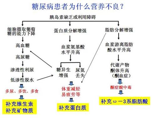 糖尿病嘴馋到无法控制怎么办,血糖高少吃主食但饿得快怎么办