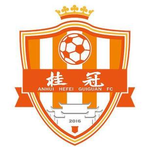 安徽足球历史性时刻,安徽省力天足球现状