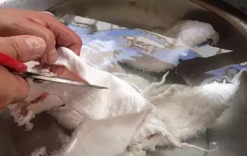 明星推荐的花胶品牌是真的吗,最好的花胶是什么样的