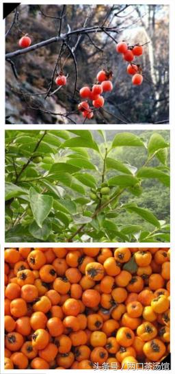 大别山深处的绝美山珍!