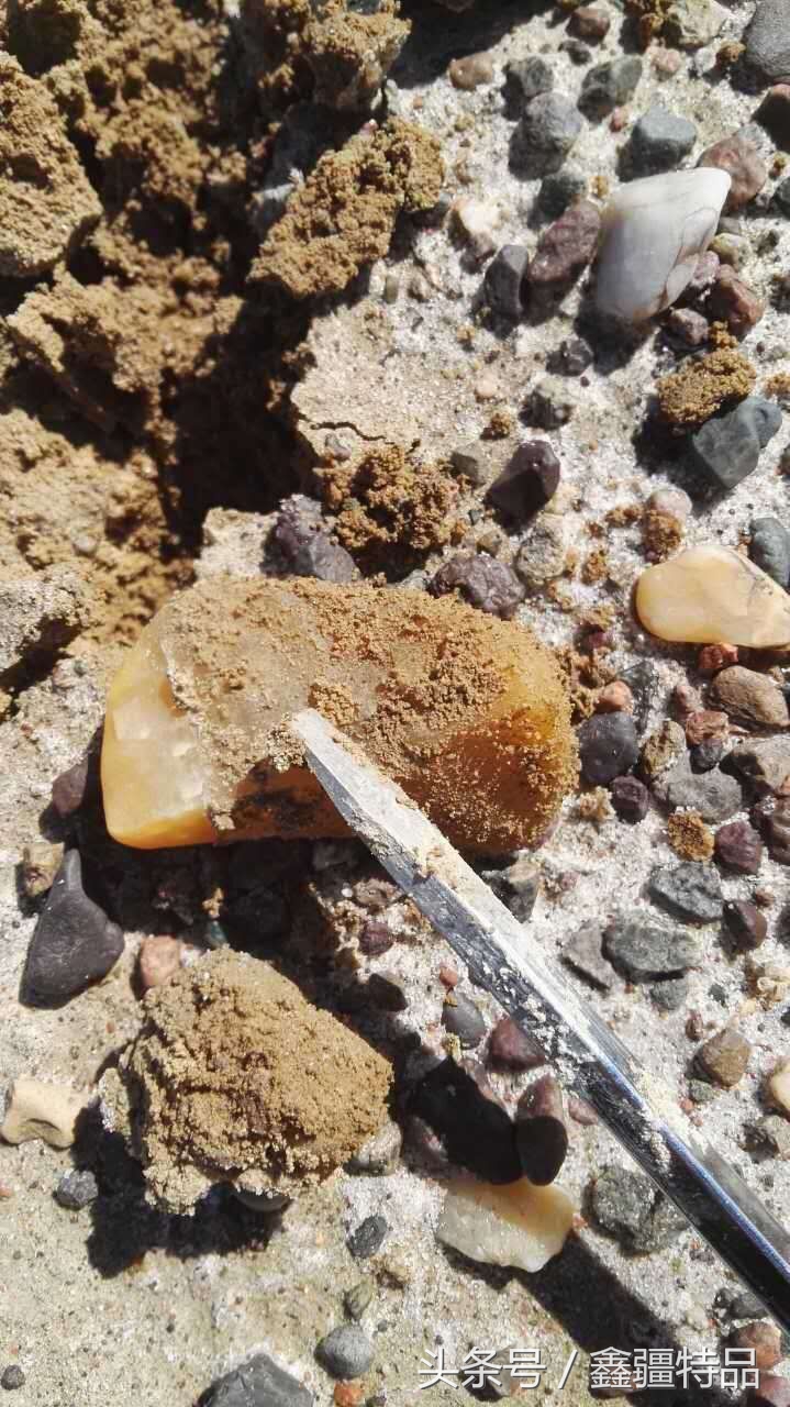 金丝玉宝石光在哪捡,捡金丝玉海蓝宝石的地方