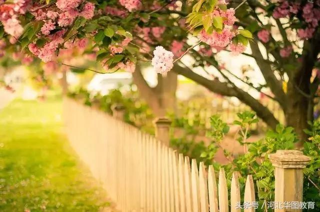 涨知识酸奶老板,涨知识nasa发布黑洞录音