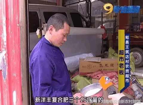 小麦扬花后麦叶尖发黄是怎么回事,小麦假化肥表现