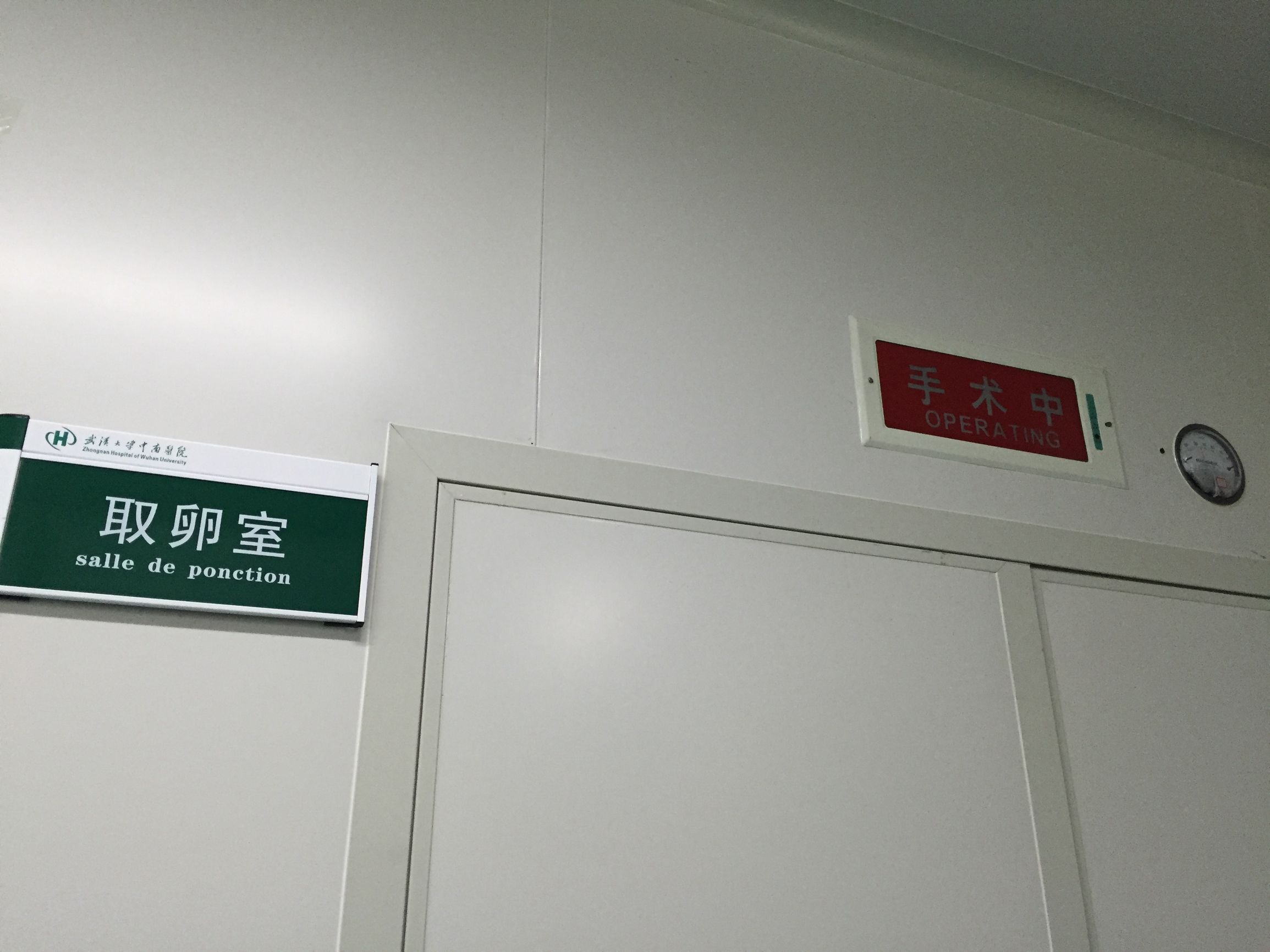 单身女性冻卵事件,单身女性冻卵违法吗