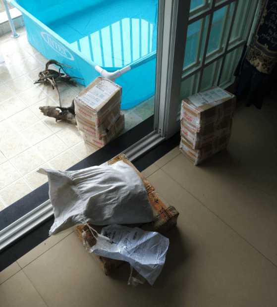 一个三米的鱼池需要多钱,一个观赏鱼池大概多少钱