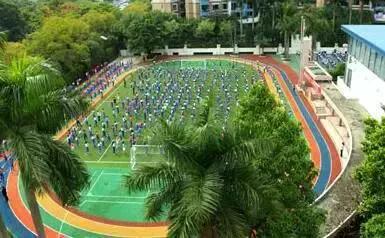 公办学校学位那么紧张！深圳最好的29所民办中小学都在这里！