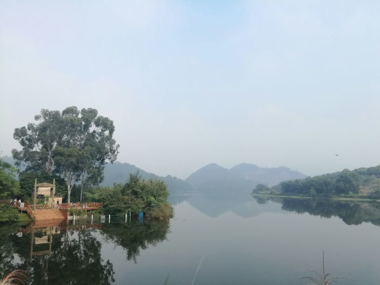 到中山的千年古刹古香林寺旧址周边山林探秘，感觉大自然太美啦