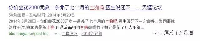 日本土狗为什么那么可爱,日本土狗是柴犬还是秋田犬