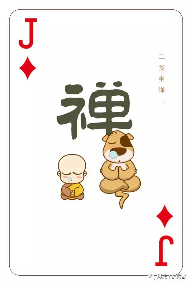 日本土狗为什么那么可爱,日本土狗是柴犬还是秋田犬