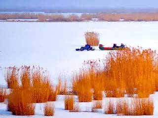 收藏这个春节，银川景区、银行、医院、超市这样营业（明细）