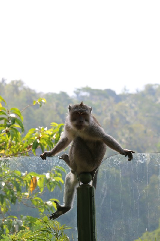 巴厘岛2天自由行,巴厘岛十一天自由行