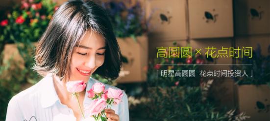 高圆圆侵权案,高圆圆投资的电商品牌是