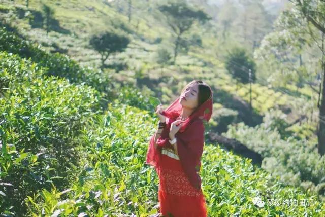 斯里兰卡旅游线路图高清,斯里兰卡自由行旅游攻略