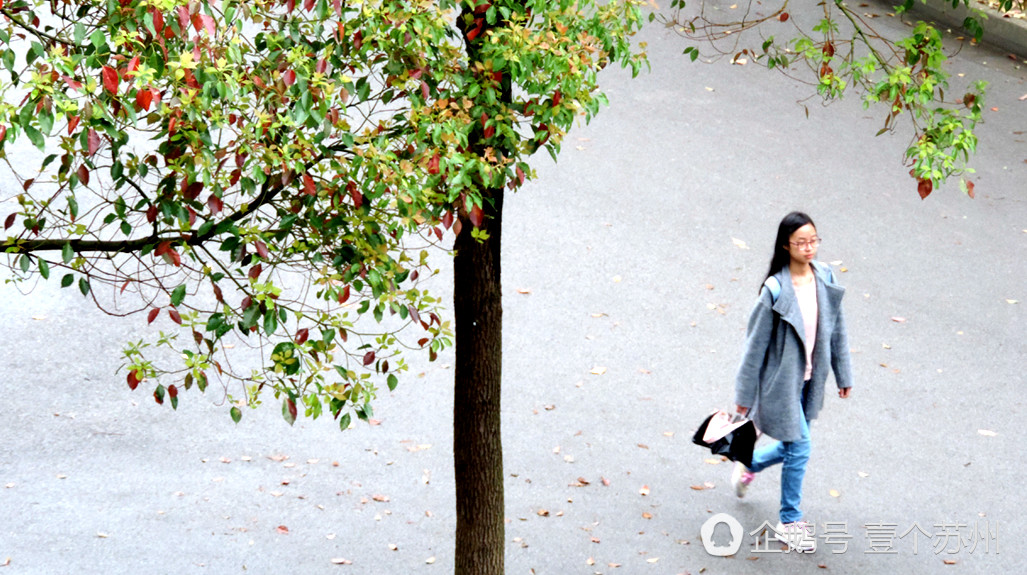 苏大独墅湖学校怎么样,苏大独墅湖校区相关视频