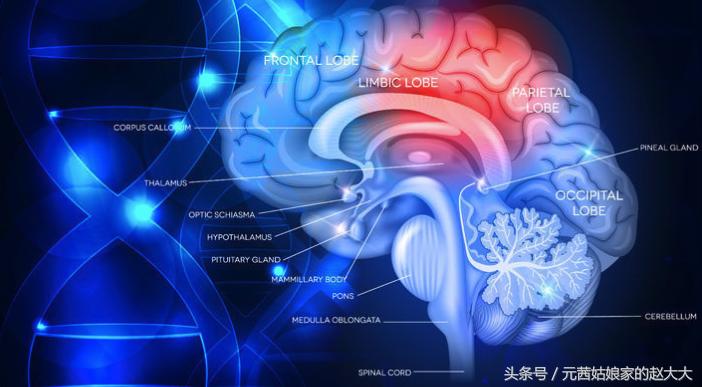 papi酱创业成功对我们的启示,papi酱创业