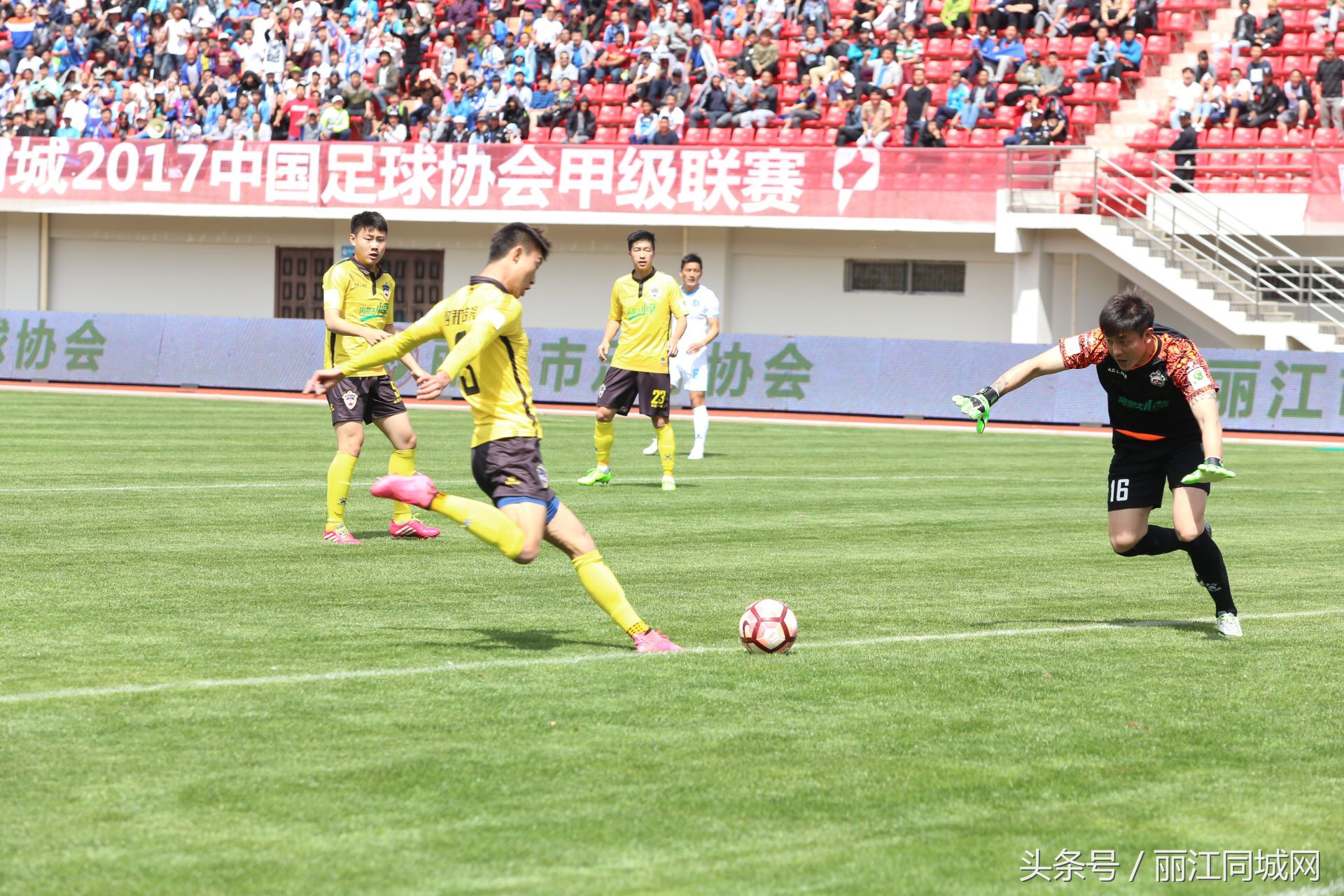 丽江飞虎vs梅州,丽江飞虎vs永昌