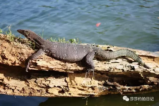 斯里兰卡旅游线路图高清,斯里兰卡自由行旅游攻略