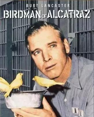 电影一座神奇的监狱,一个监狱在一个岛上电影