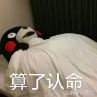 二度实探｜那个宣称要“淘汰”北二环的大丰，你可能买不起了