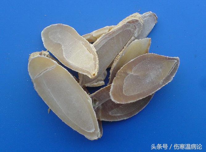 一药一方讲解伤寒论,一药一方中成药