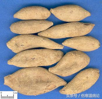 一药一方讲解伤寒论,一药一方中成药