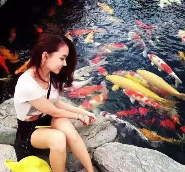 福建家庭园林假山鱼池景观设计,园林鱼池假山流水制作方法大全