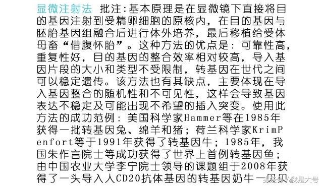 植物转基因技术流程,转基因技术的迅猛发展