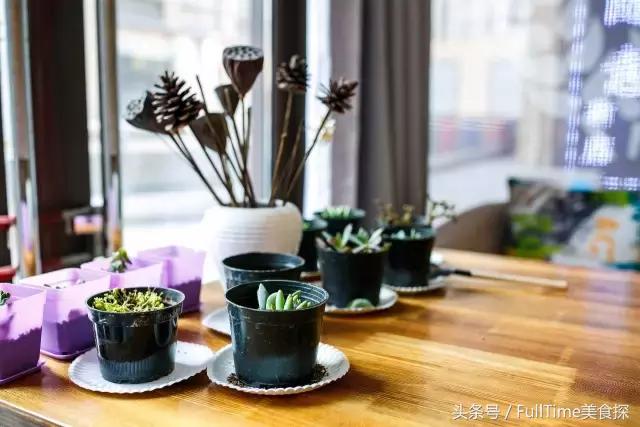 如果你还有梦，就请像她们一样！内含不限量免费吃！